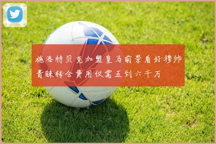 施洛特贝克加盟皇马前景看好穆帅青睐转会费用仅需五到六千万