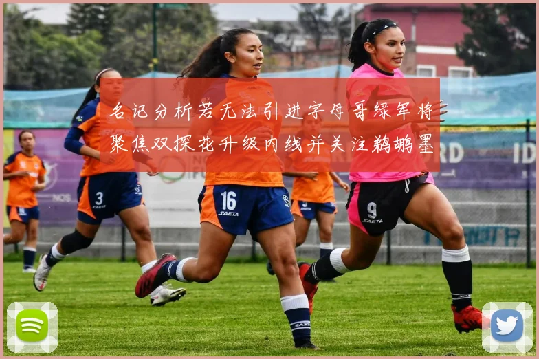 名记分析若无法引进字母哥绿军将聚焦双探花升级内线并关注鹈鹕墨菲