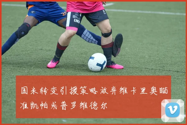 国米转变引援策略放弃维卡里奥瞄准凯帕或普罗维德尔